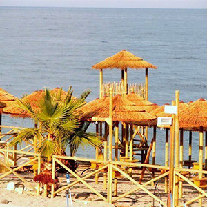 Parasols Africa