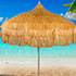 Beach umbrella